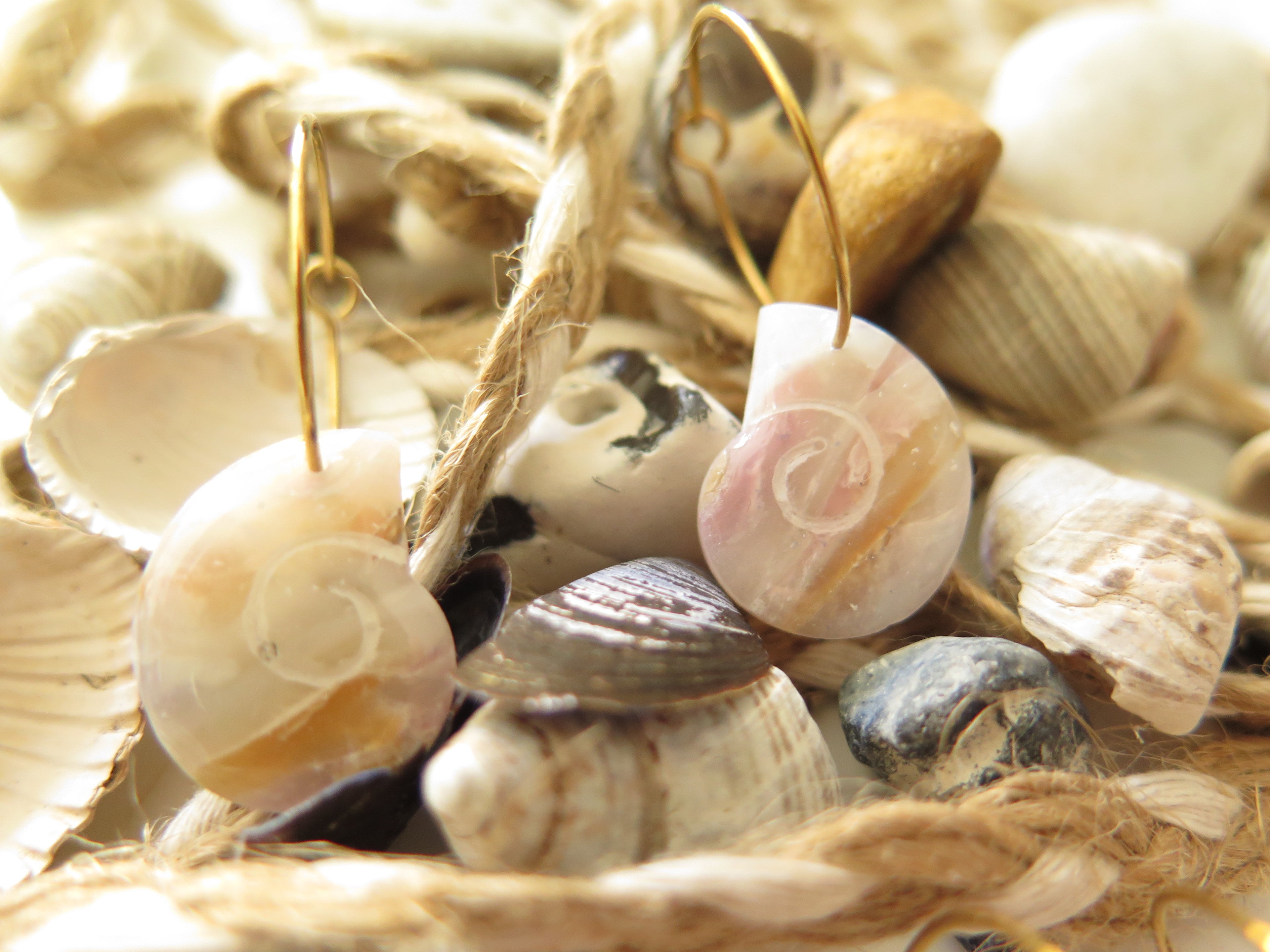 Ohrringe Pearl Seashell