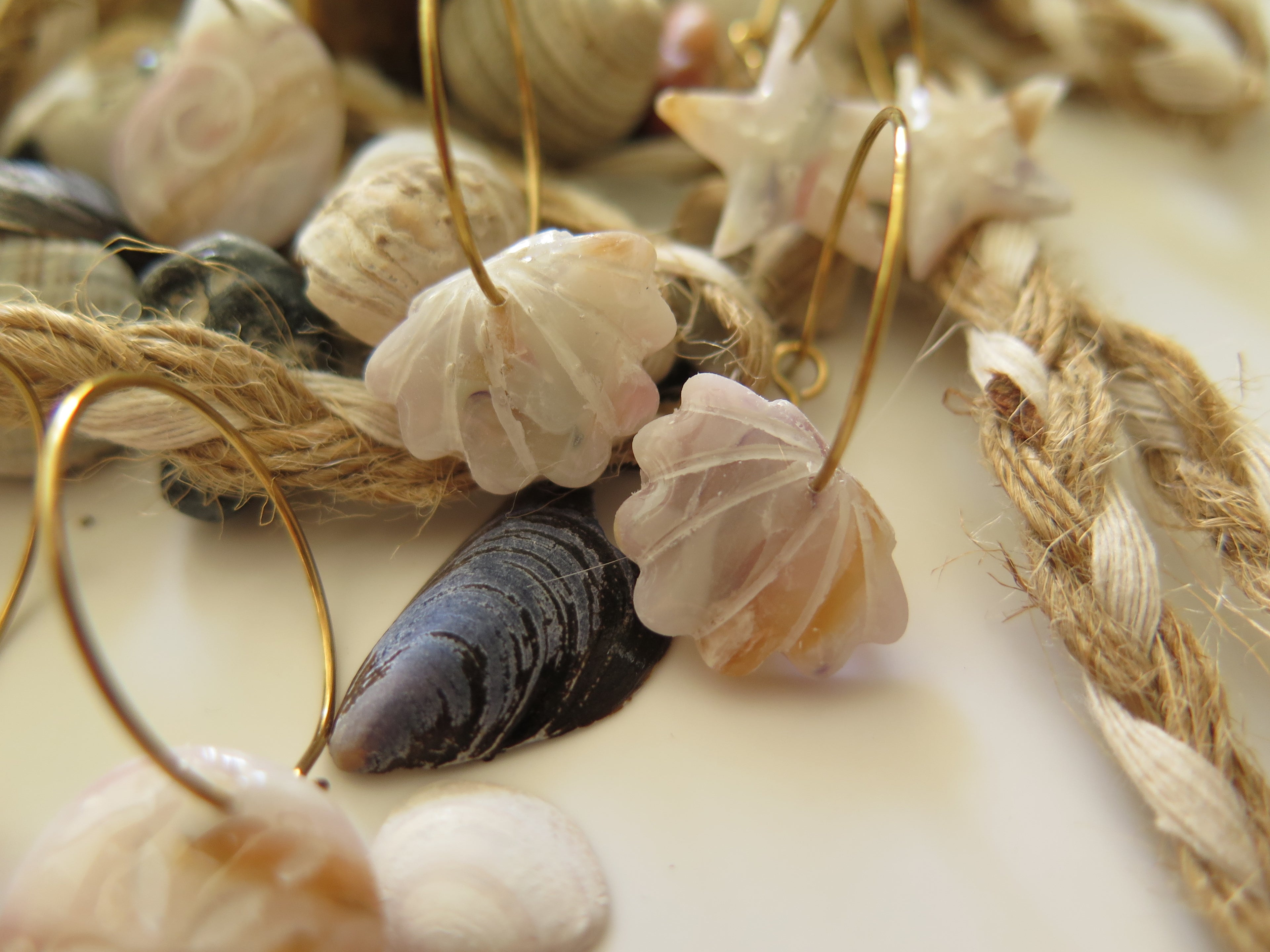 Ohrringe Pearl Seashell